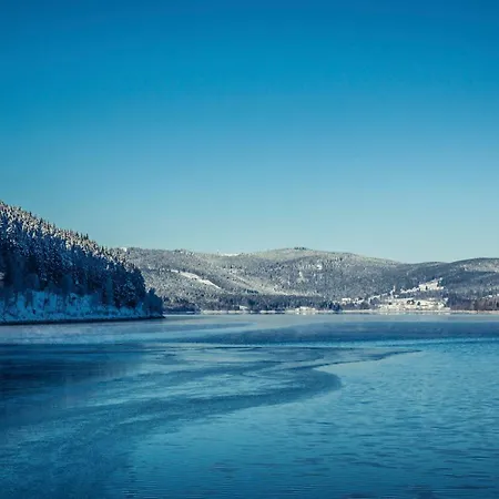 Blumbach Nr 2, Schluchsee, Feldberg Appartement *