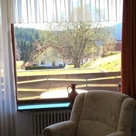 Appartement Blumbach Nr 2, Schluchsee, Feldberg *