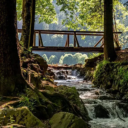 Appartement Blumbach Nr 2, Schluchsee, Feldberg Schluchsee