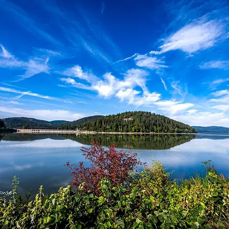 Blumbach Nr 2, Schluchsee, Feldberg
