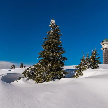 Blumbach Nr 2, Schluchsee, Feldberg Appartement