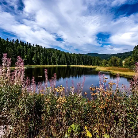 Appartement Blumbach Nr 2, Schluchsee, Feldberg *