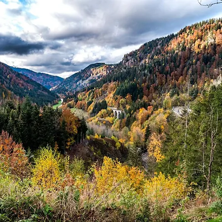 Blumbach Nr 2, Schluchsee, Feldberg Appartement *