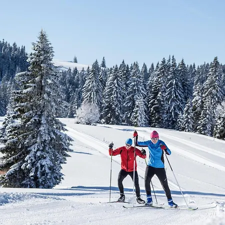 Blumbach Nr 2, Schluchsee, Feldberg Schluchsee